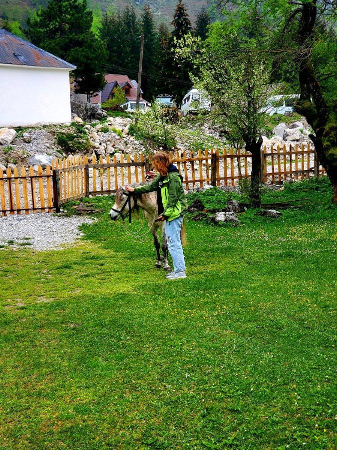 Bujtina 2 Hotel Valbone Exterior foto